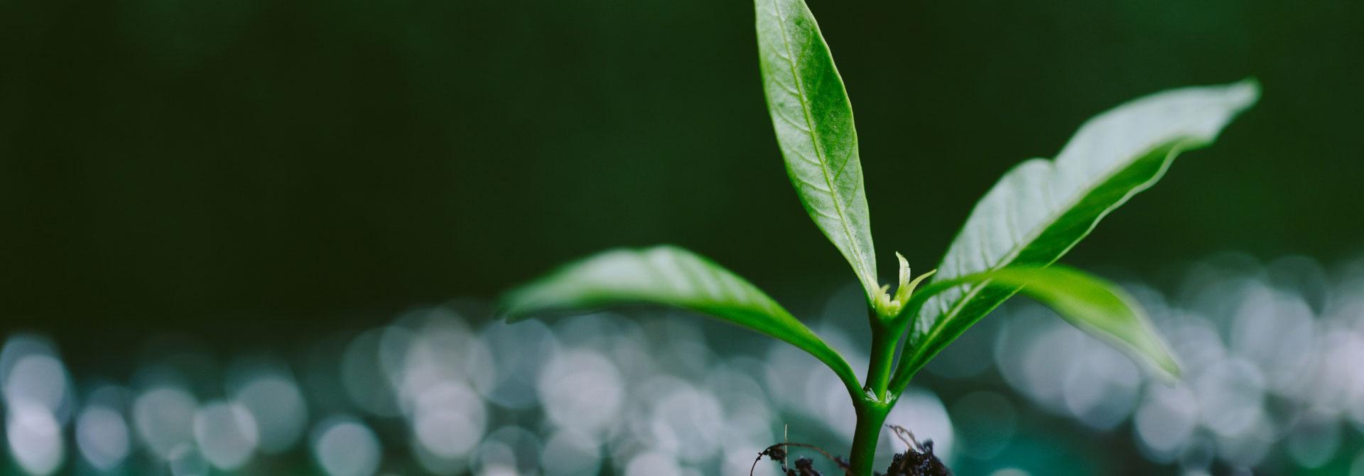 Résistex prend soin de ses environnements